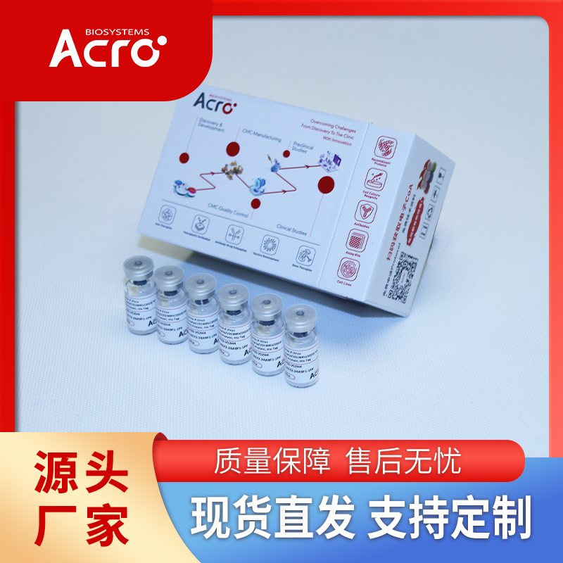 多克隆Olig2抗体, Rabbit IgG