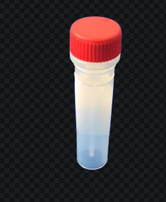 神经丝轻链蛋白抗体（NFL Antibody）--自主研发