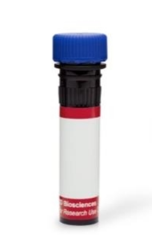 磷酸化tau217蛋白抗体、Tau(Thr217) Antibody、p-tau217 Antibody