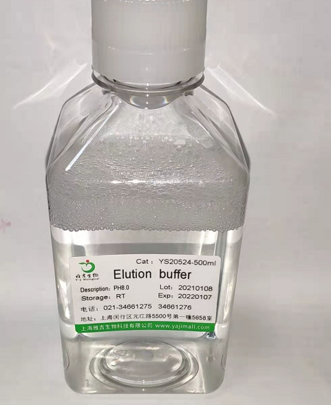 造血干细胞抗原CD133抗体 