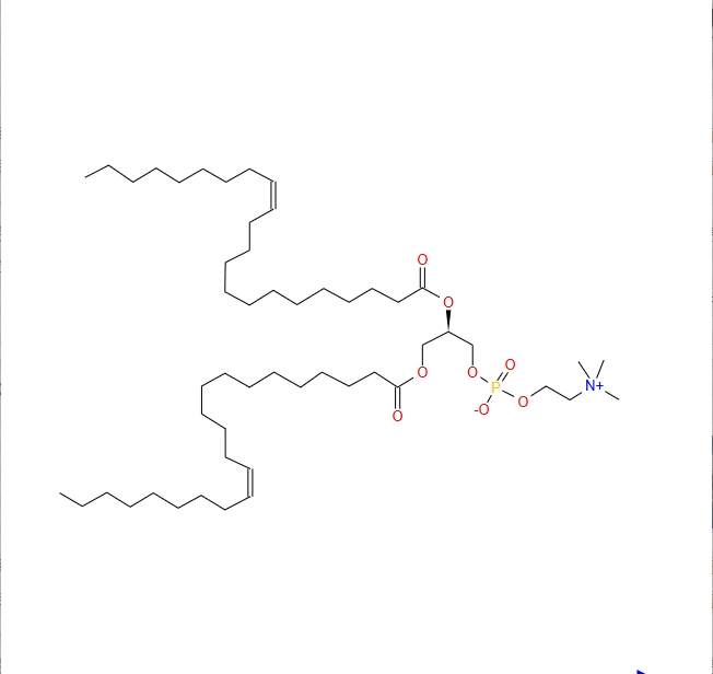 二芥酰磷脂酰胆碱 51779-95-4