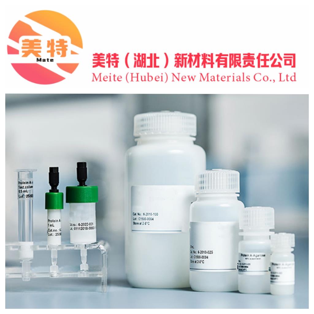 植物源纤连蛋白