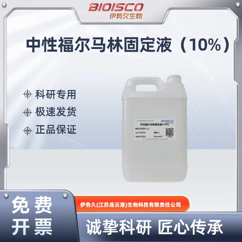中性福尔马林固定液（10%）