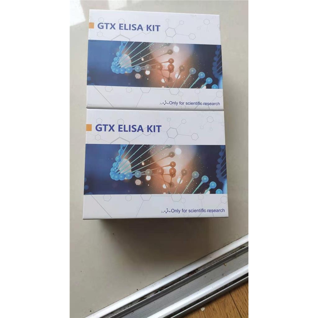 促甲状腺素受体抗体（C端）