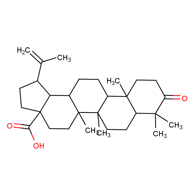 白桦脂酸4481-62-3  项目  年产 匠信生物 高纯度