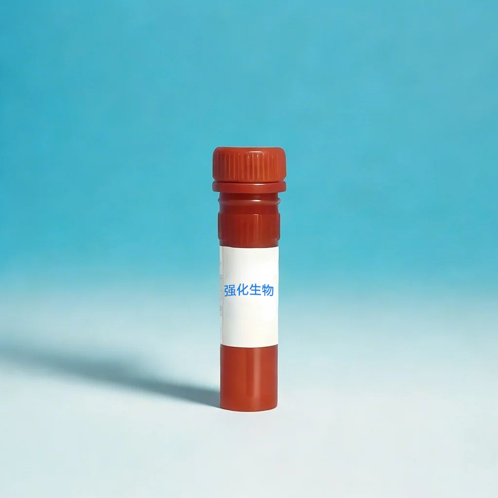 DiBAC4(3) 膜电位荧光探针的具体介绍