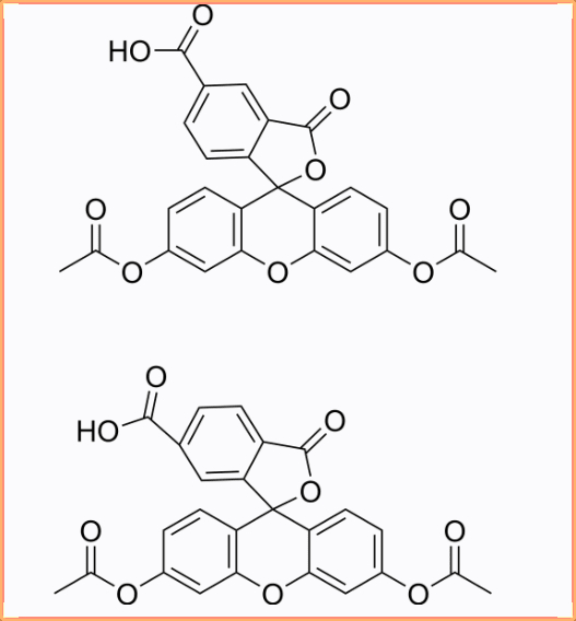 CFDA（5(6)-Carboxyfluorescein diacetate）使用方法和注意事项