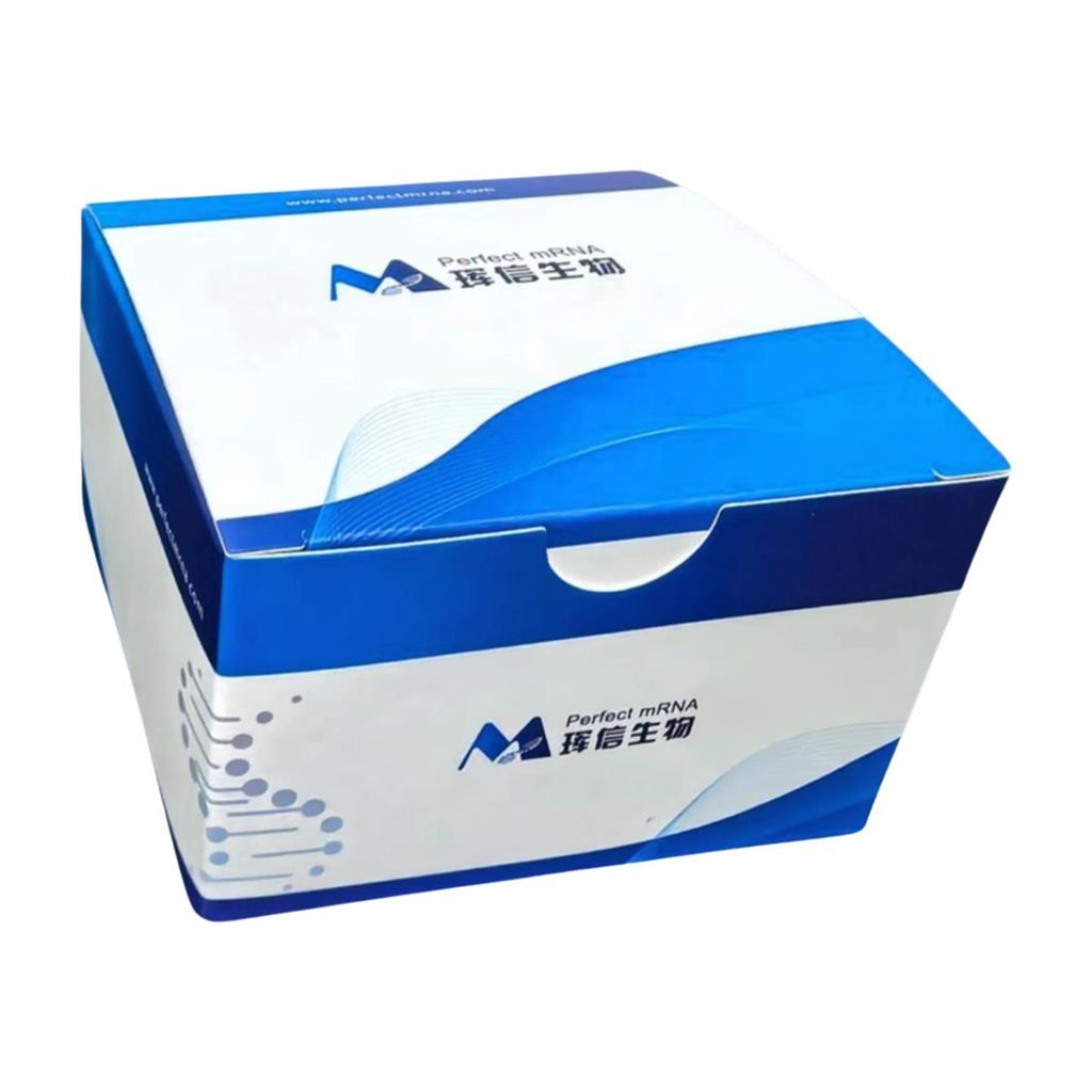 T7 高产率 RNA 共转录试剂盒  (N1-Me-pUTP)