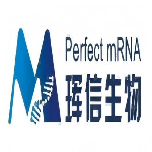 EPO mRNA（N1-Me-pUTP），冻干