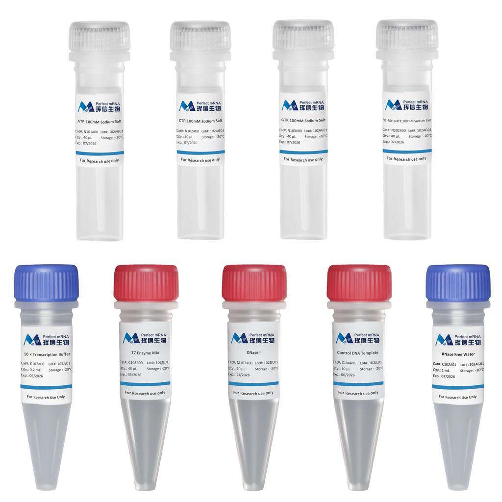 T7 高产率 RNA 转录试剂盒 (N1-Me-pUTP)