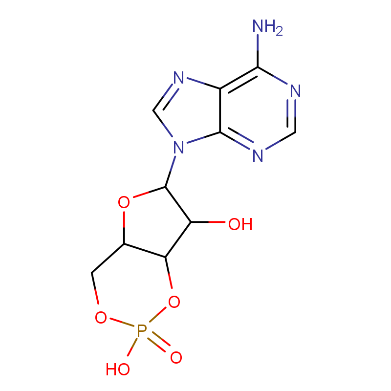 环磷腺苷 60-92-4   全国可发 匠信生物 高纯度 可拆分