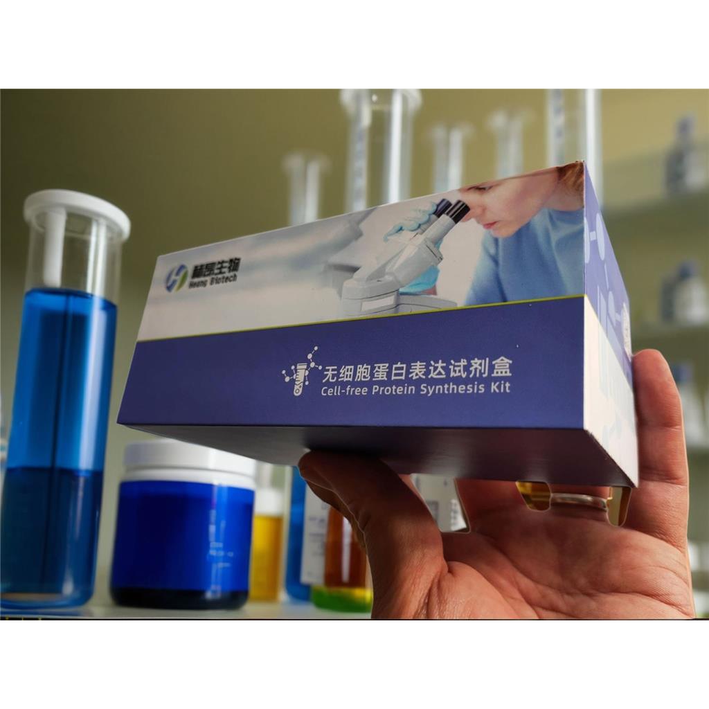 无细胞蛋白表达试剂盒（透析式）