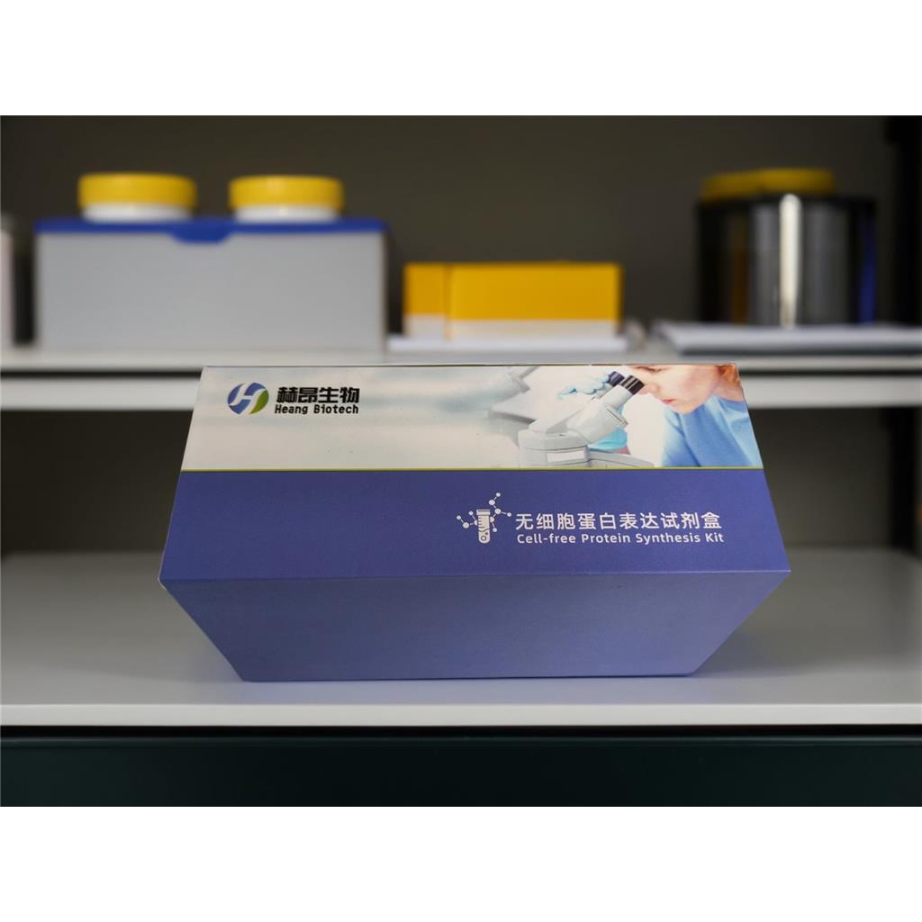 无细胞蛋白表达试剂盒（小麦胚芽）