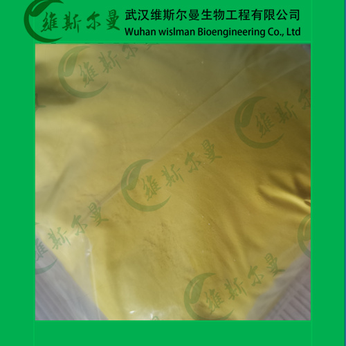 乳酸氧化酶-来源于草绿色气球菌-酶活力-活力≥80U/mg-找维斯尔曼王华