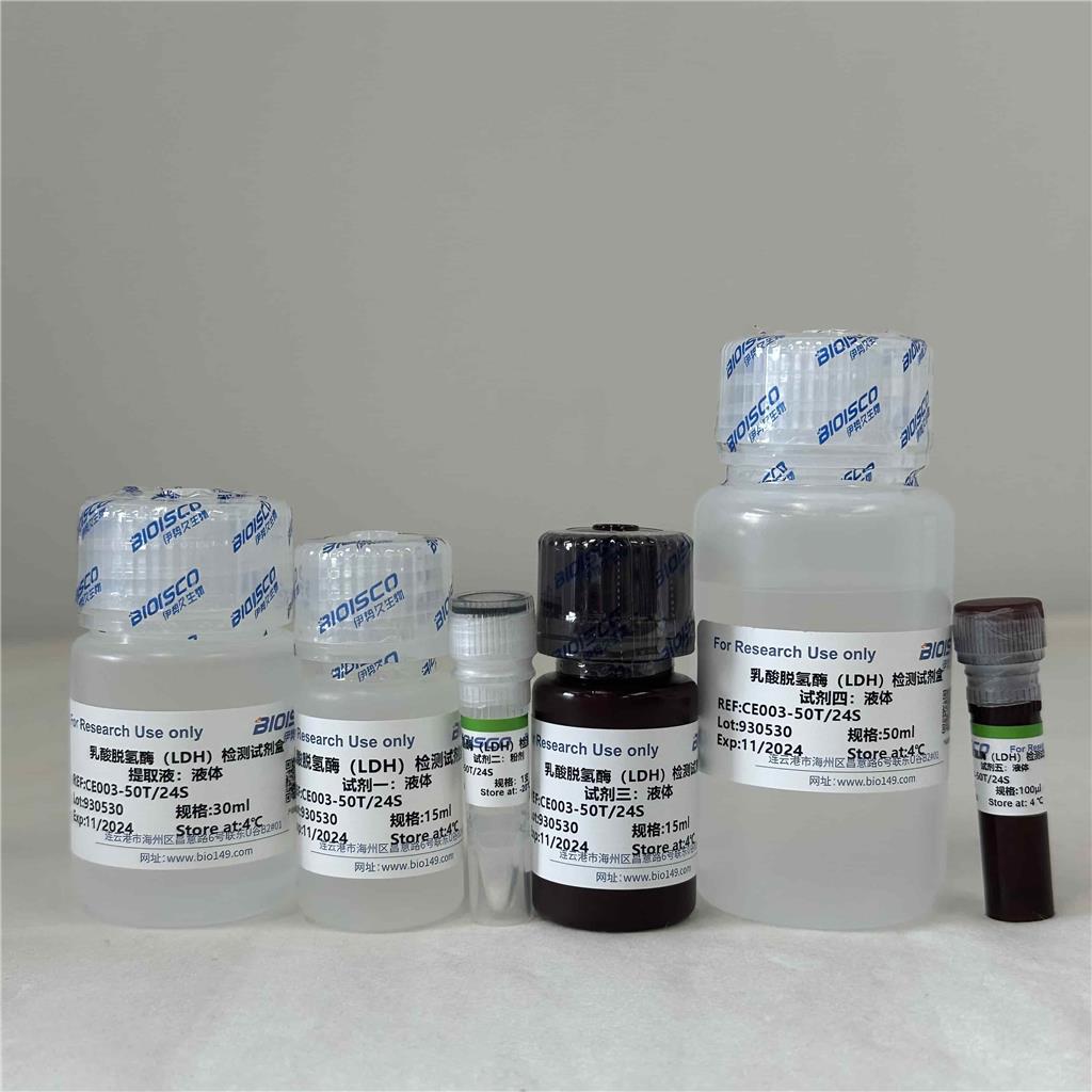  乳酸脱氢酶（LDH）检测试剂盒（分光光度法 50T/24S)