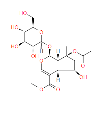 57420-46-9；8-O-乙酰山栀苷甲酯；8-O-Acetylshanzhiside methyl ester
