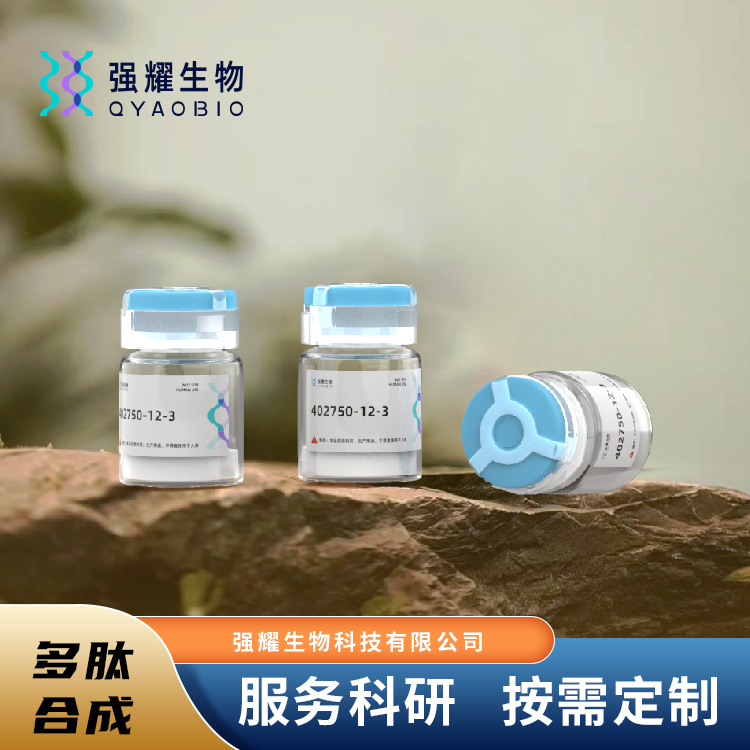 3X FLAG PEPTIDE多肽抗体定制蛋白纯化表达制备高效