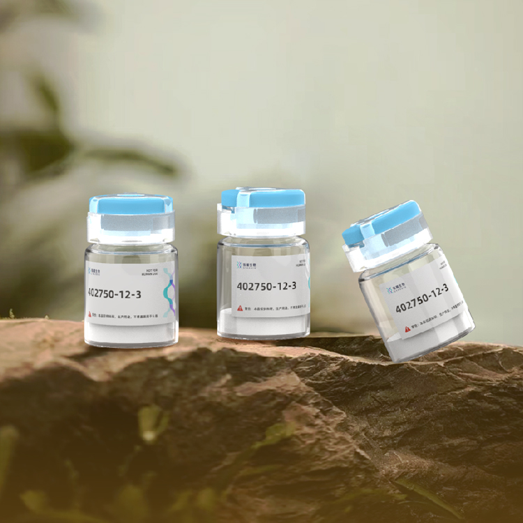 3X FLAG PEPTIDE多肽抗体定制蛋白纯化表达制备高效