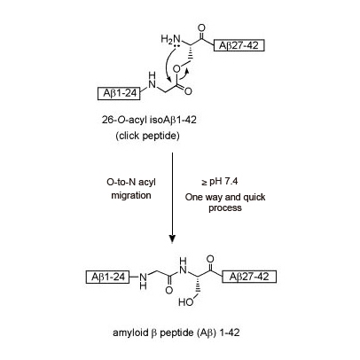 β-Amyloid (1-42), human (金斯瑞 A00866)