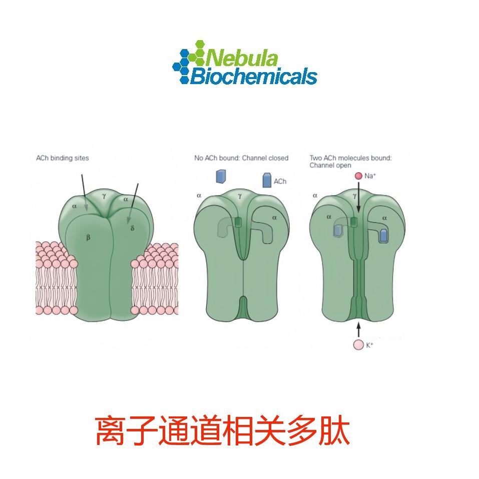 离子通道相关毒素肽 抑制剂 拮抗剂 激动剂