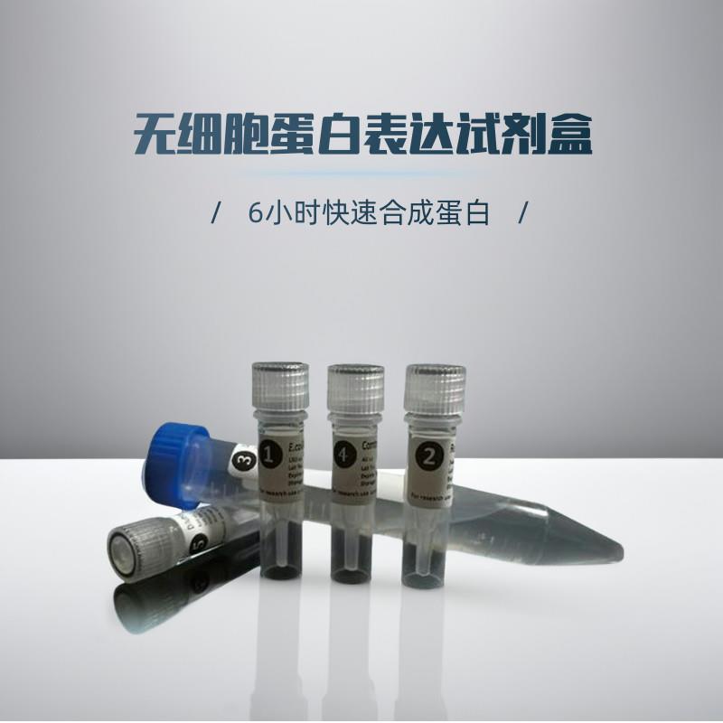 无细胞蛋白表达试剂盒（非透析式）