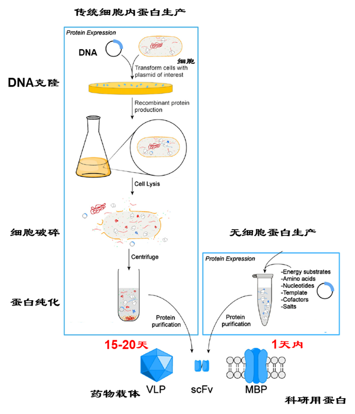 无细胞蛋白表达试剂盒（非透析式）
