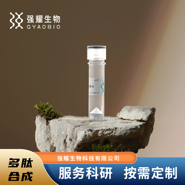 β-Amyloid (1-42),(rat/mouse)淀粉样蛋白纯化表达载体抗体制备