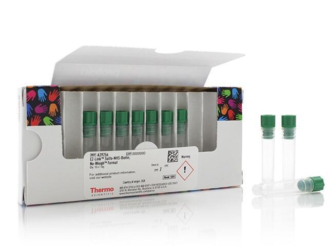 A39256_正文.jpg A39256_正文.jpg