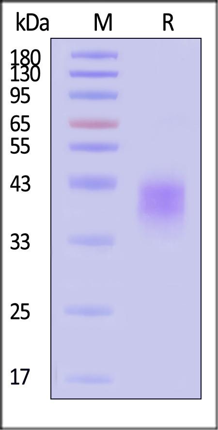 CDB-H5227.jpg CDB-H5227.jpg