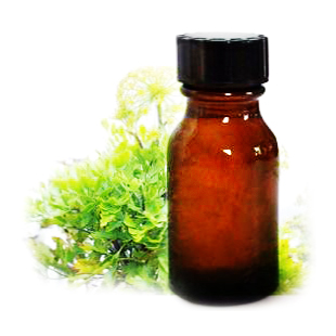 山梨糖醇酐单棕榈酸酯(司盘40) 26266-57-9  主打 专业  全国可发  高纯度