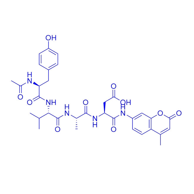 N-乙酰基-酪氨酰-缬氨酰-丙氨酰-天冬氨酸-7-氨基-4-甲基香豆素/149231-65-2/Ac-YVAD-AMC 