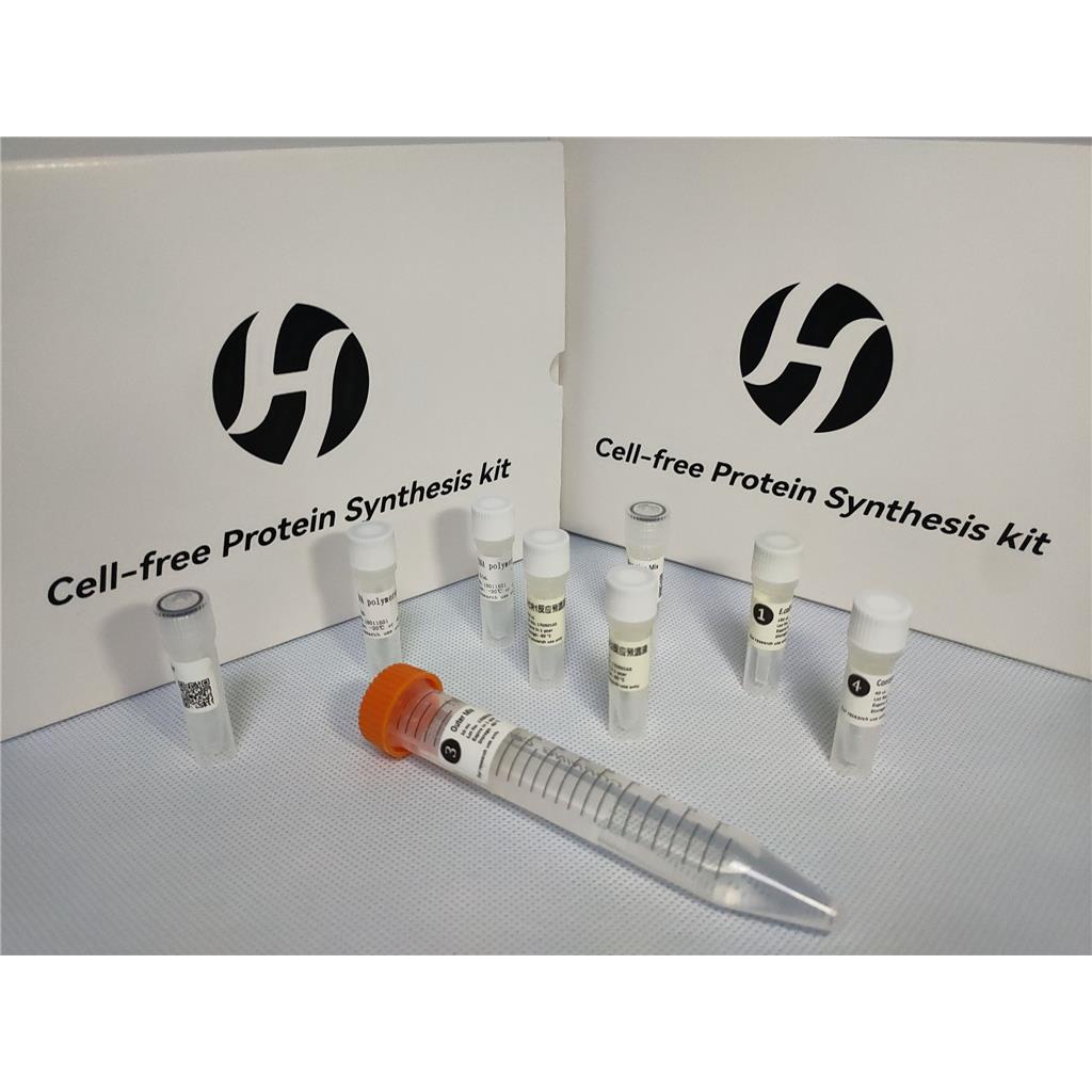 无细胞蛋白表达试剂盒（小麦胚芽）