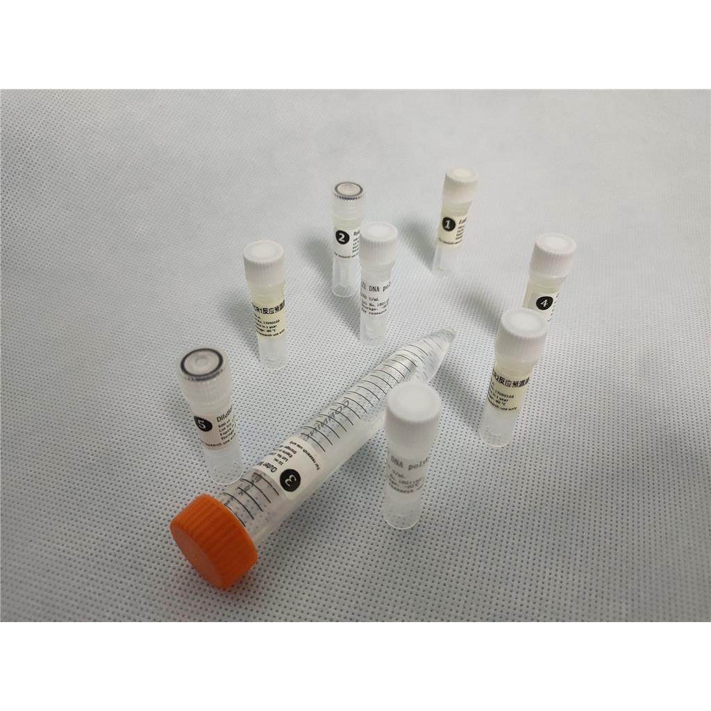 无细胞蛋白表达试剂盒（烟草）