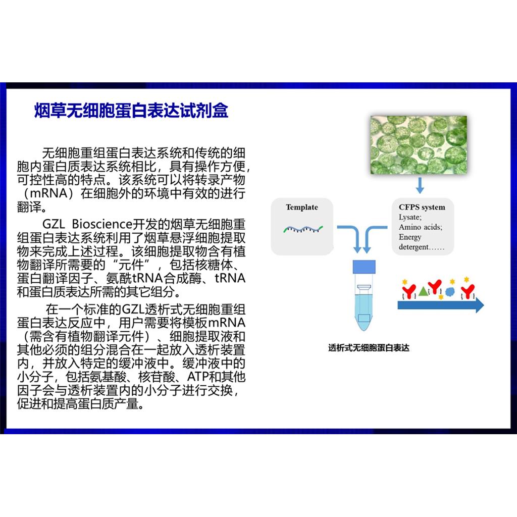 无细胞蛋白表达试剂盒（烟草）