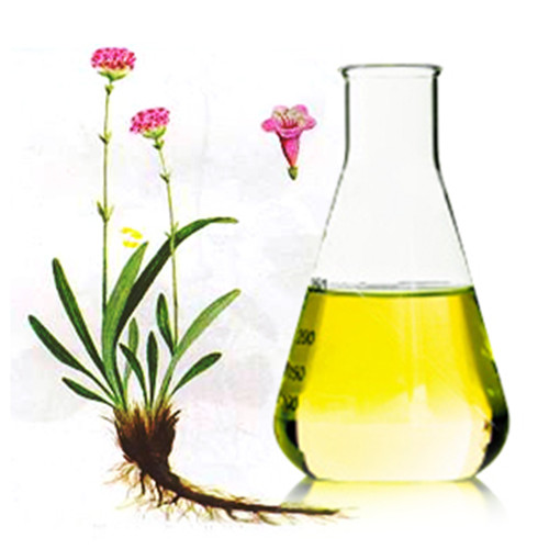 3,4-二甲基苯甲醛