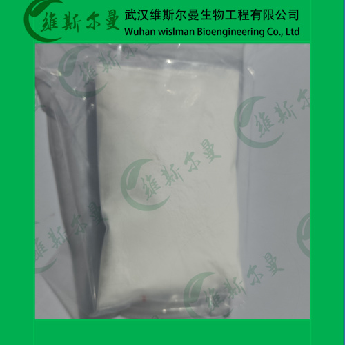 洛沙坦-氯沙坦-114798-26-4-氯沙坦钠中间体-纯度98%-找维斯尔曼王华