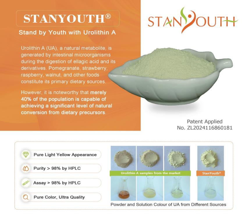 StanYouth-3.png StanYouth-3.png
