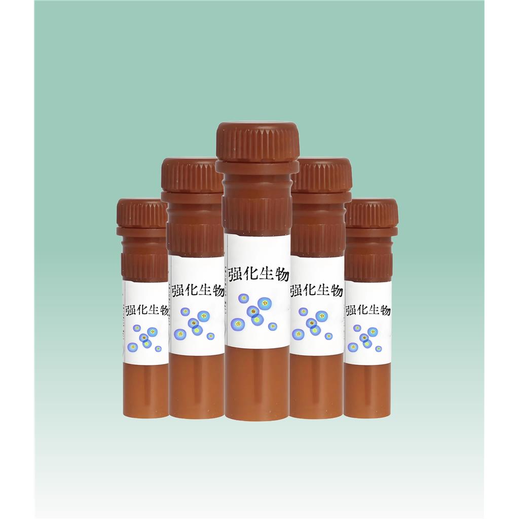 JC-10线粒体膜电位荧光探针的使用方法