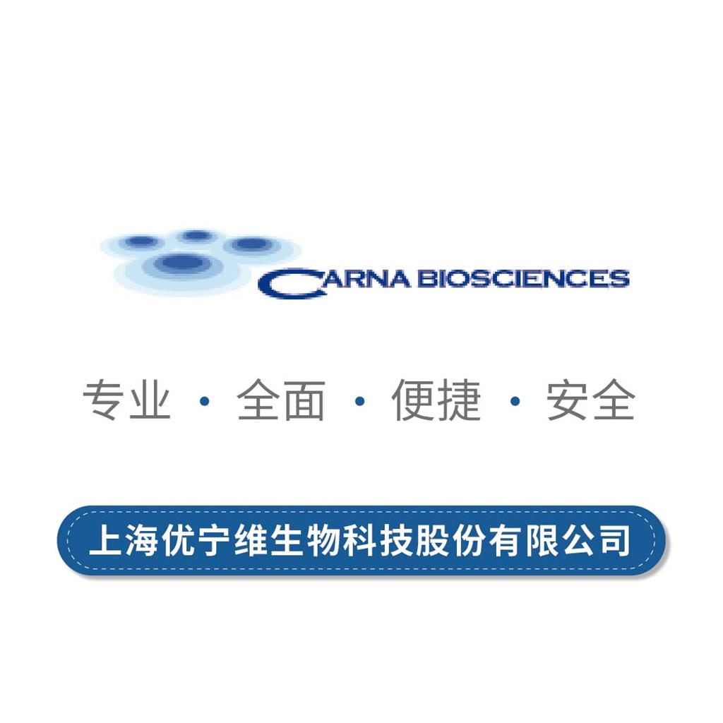 细胞周期蛋白依赖性激酶2/细胞周期蛋白E1复合物（CDK2/CycE1）