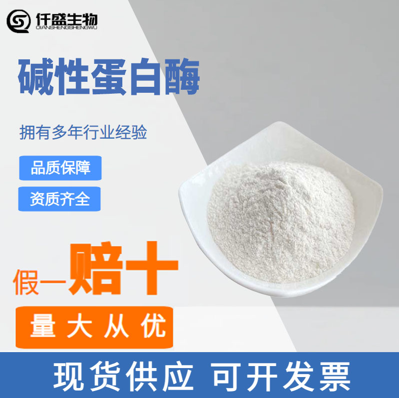 碱性蛋白酶 食用奶制品蛋类肉汁 食品级酶制剂