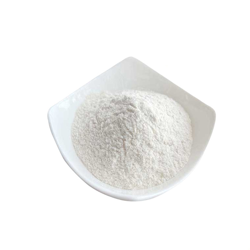 碱性蛋白酶 食用奶制品蛋类肉汁 食品级酶制剂