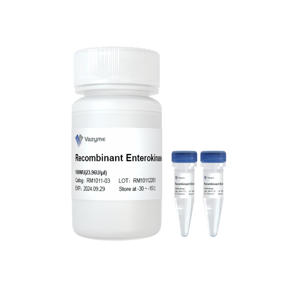 重组肠激酶