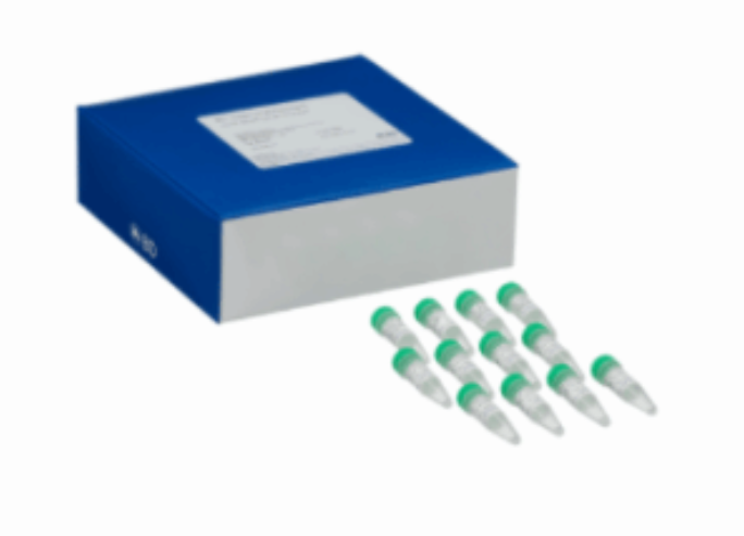 小鼠微核流式细胞术检测试剂盒