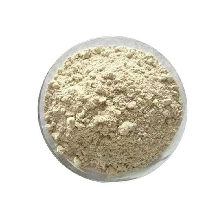 大豆分离蛋白 肉制品鱼糜制品 食品级营养强化剂9010-10-0