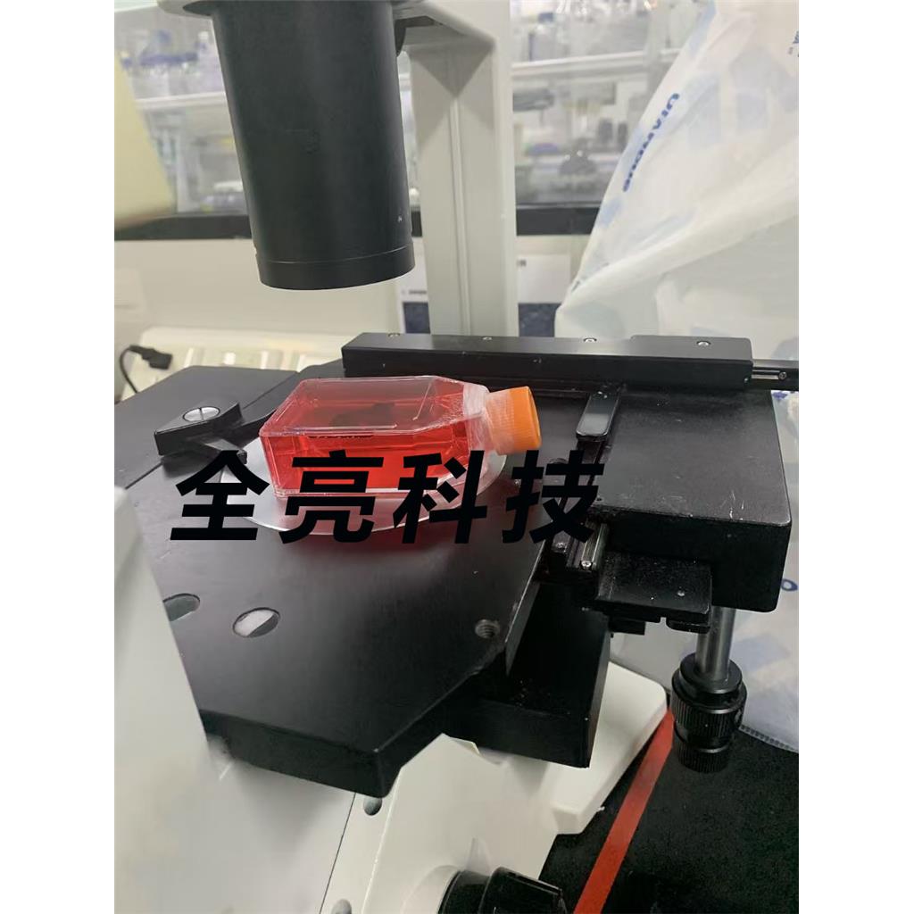 COLO 320DM Cells人结直肠腺癌细胞|送STR图谱