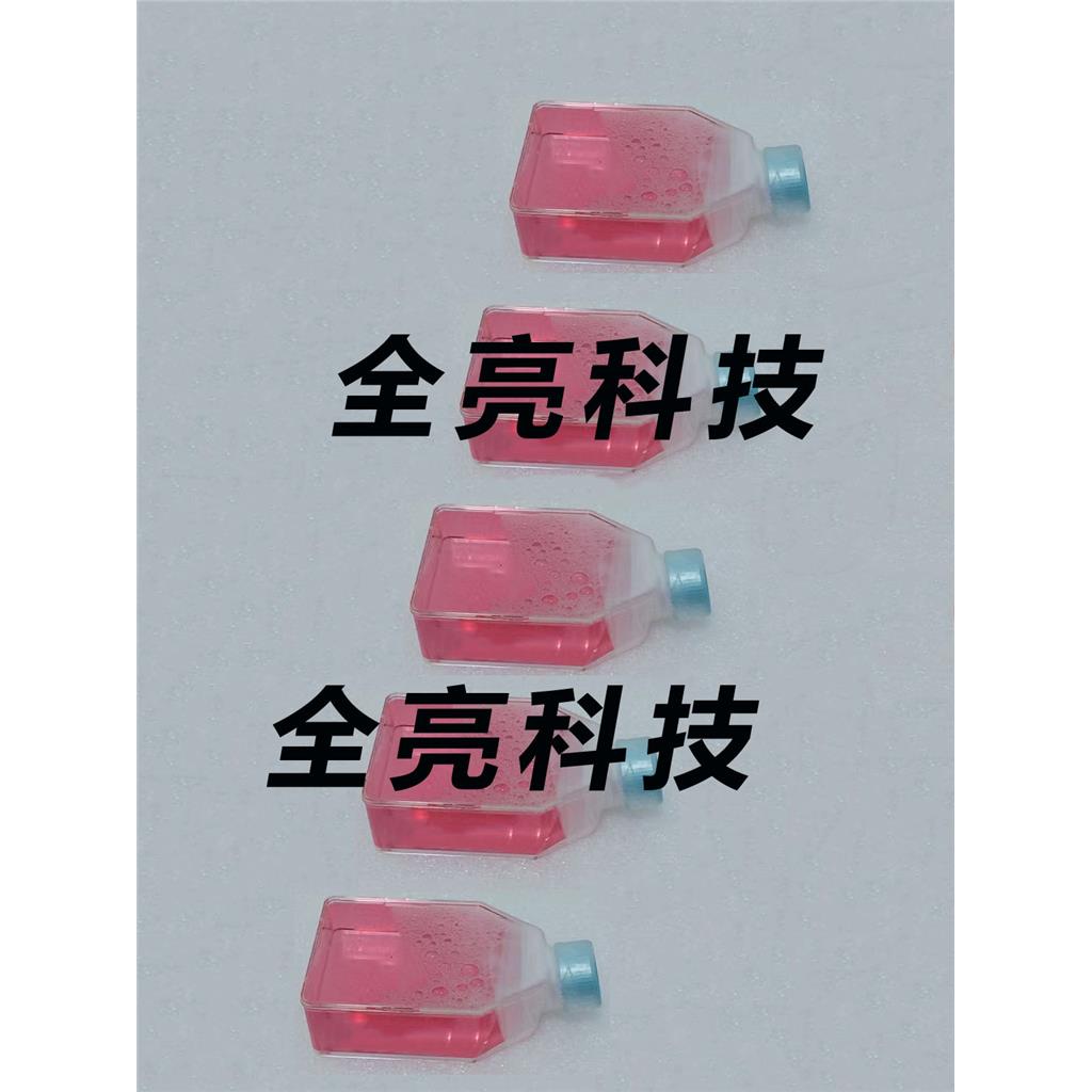 COLO 205 Cells人结肠癌细胞|送STR图谱