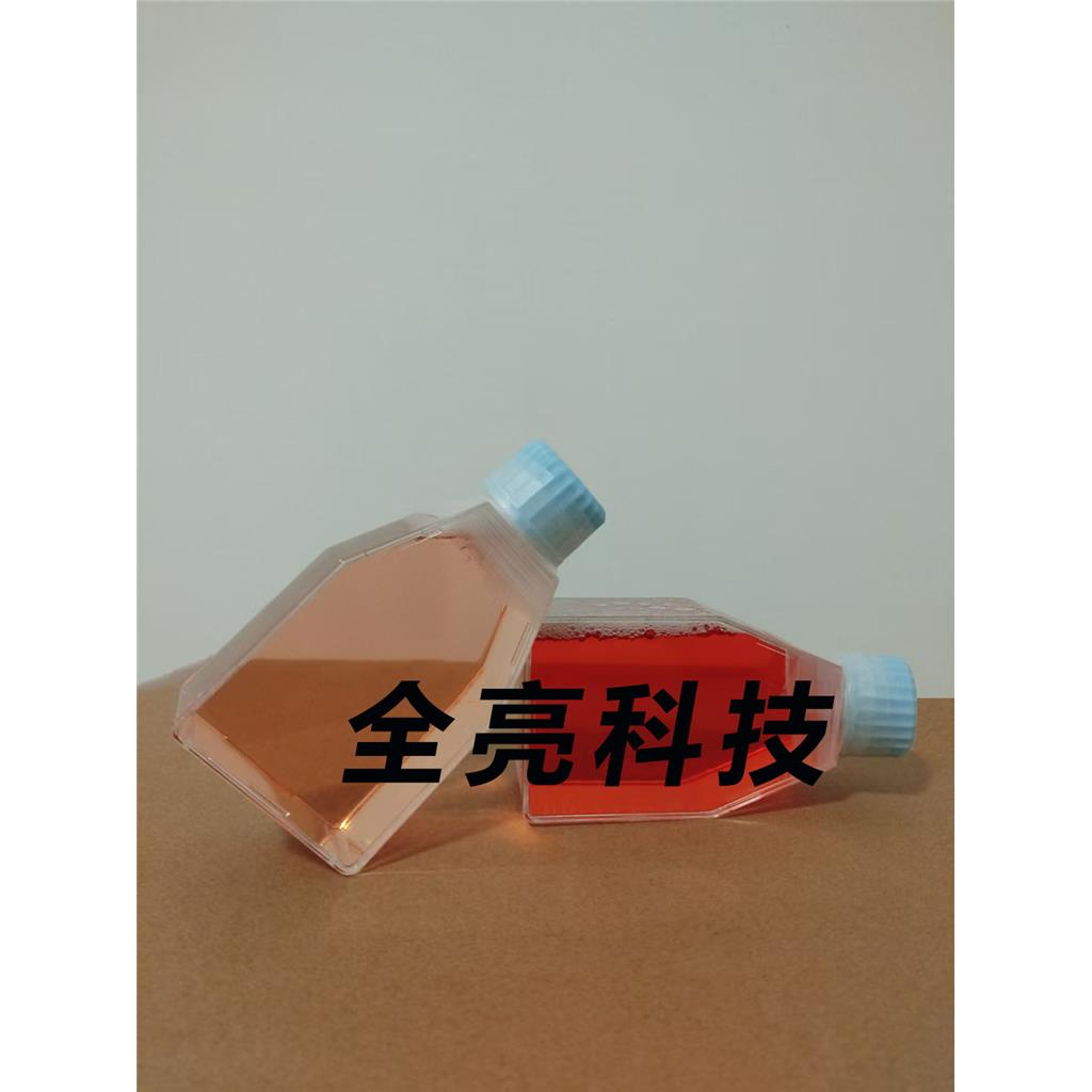 CFPAC-1 Cells人胰腺癌细胞|送STR图谱