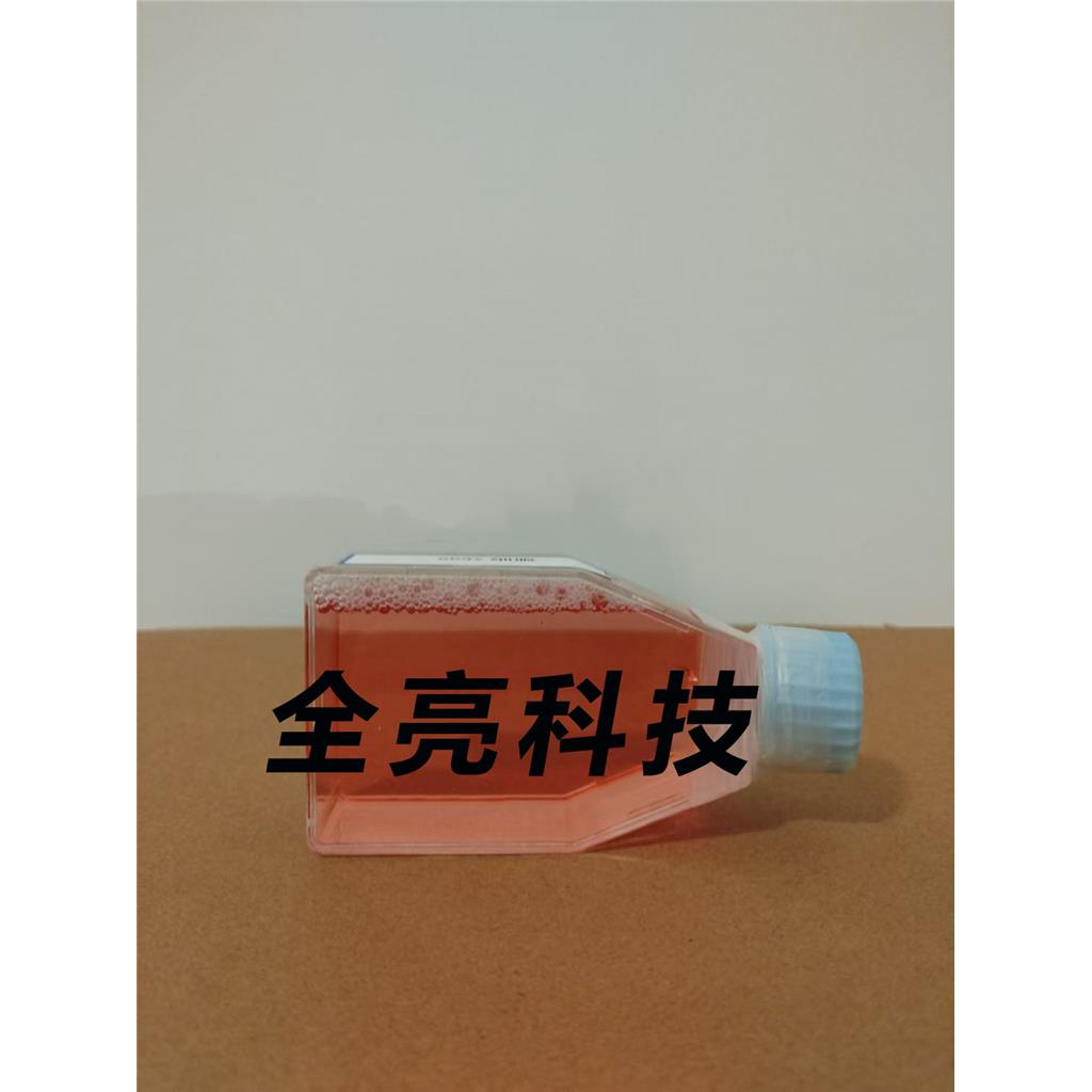 CCRF-CEM Cells人急性淋巴细胞白血病细胞|送STR图谱