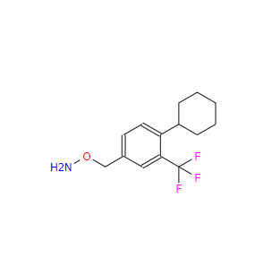 O-(4-环已基-3-三氟甲基苯基)羟胺半草酸盐 800379-62-8