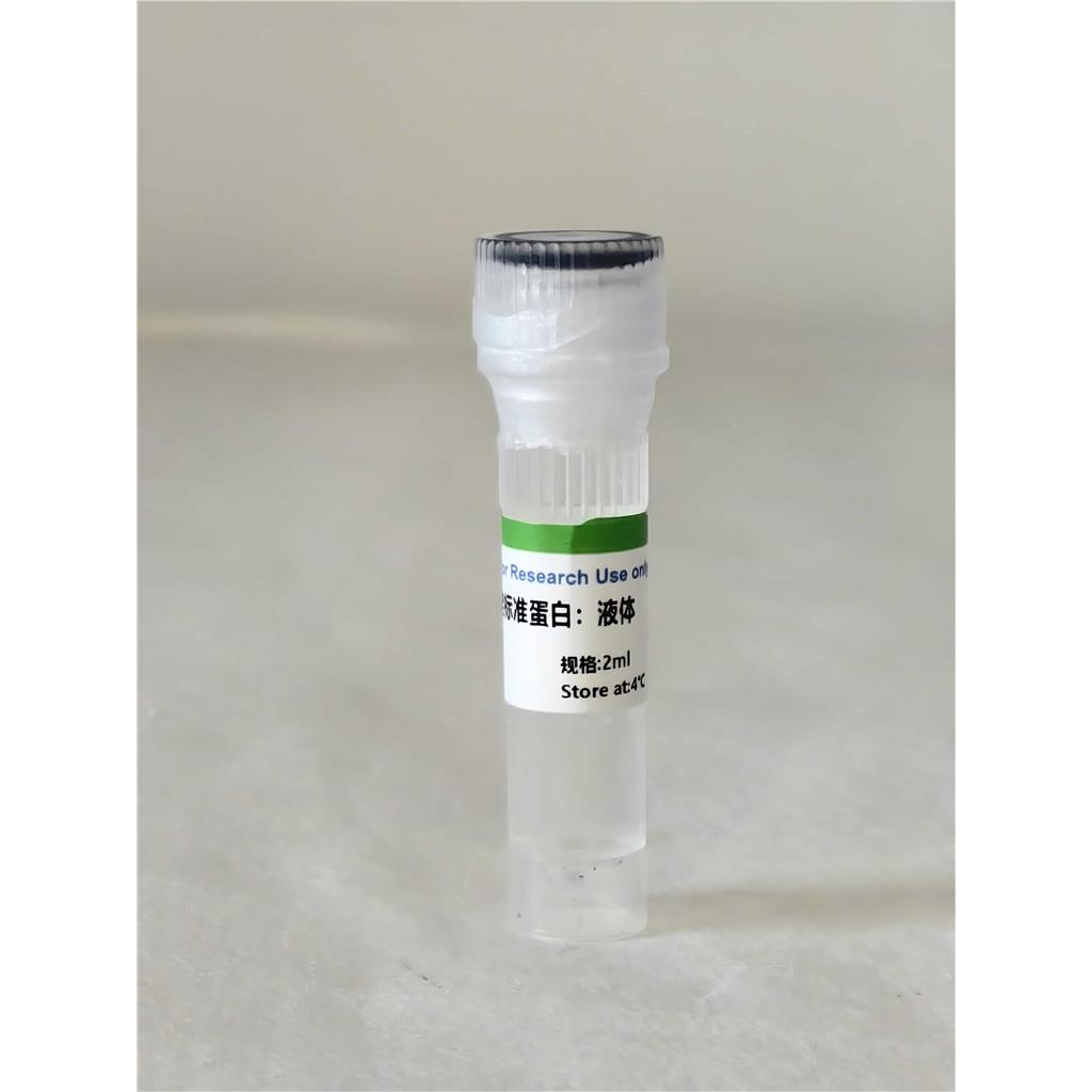 BCA法蛋白质含量测定试剂盒（分光光度法 50T/48S）